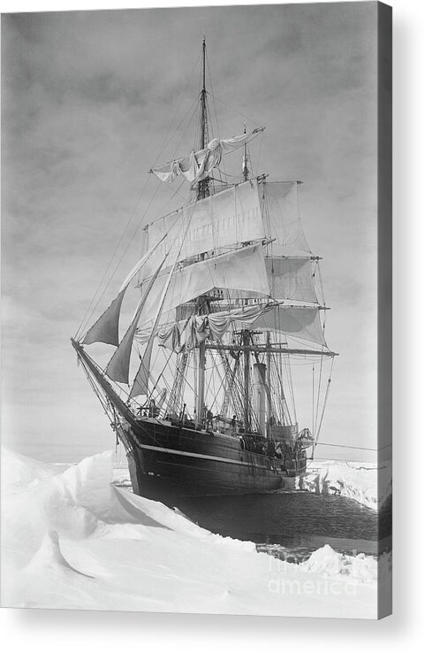 1900s Acrylic Print featuring the drawing Terra Nova in Antarctic pack ice, 1910 by Scott Polar Research Institute