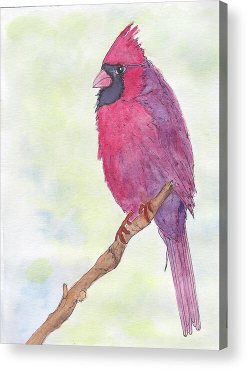 Birds Acrylic Print featuring the painting Cardinal Visiting by Anne Katzeff