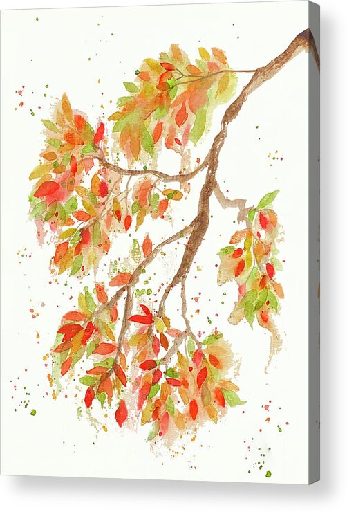 Autumn Leaves Acrylic Print featuring the painting Changing Fall Leaves by Deborah League