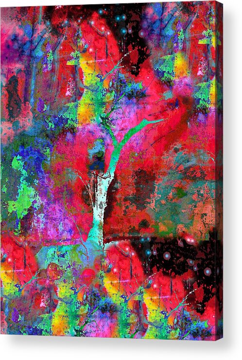 Abstract Acrylic Print featuring the photograph Color Me Krazy by Abbie Loyd Kern
