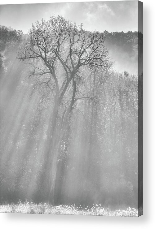 Iowa Acrylic Print featuring the photograph Coming Down by Darren White