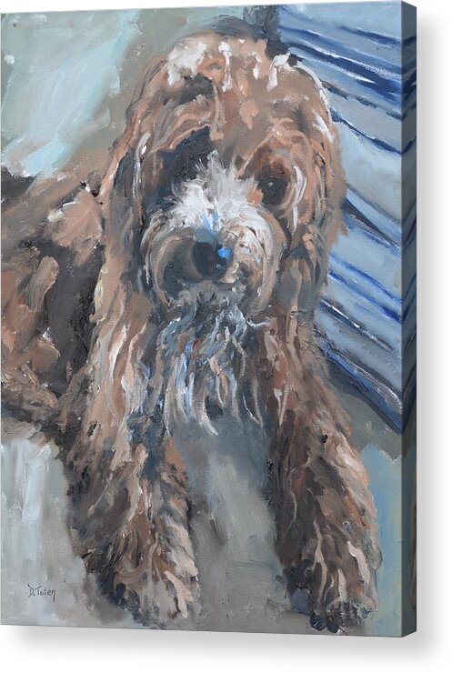 Paintings Acrylic Print featuring the painting Cute Cockapoo Painting by Donna Tuten