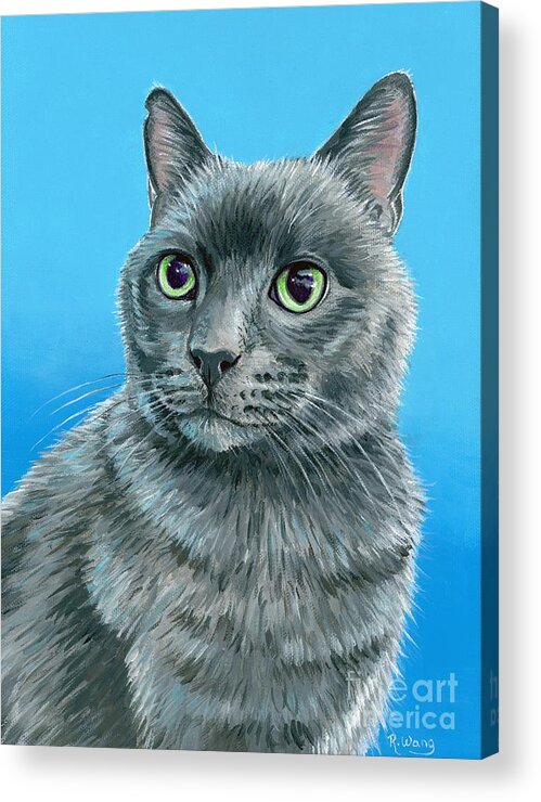 Cat Acrylic Print featuring the painting Cute Gray Kitty Cat by Rebecca Wang