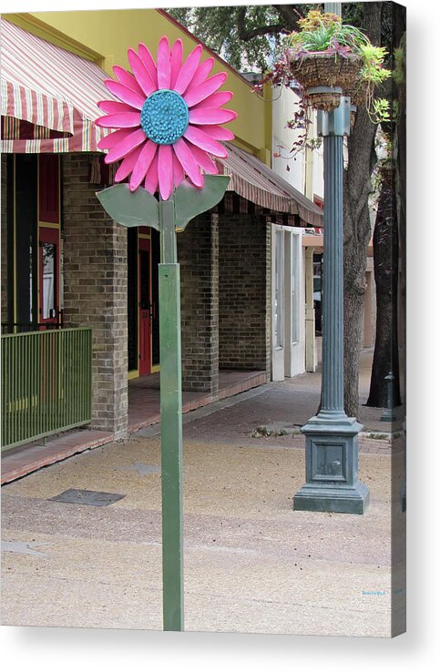 San Antonio Texas Acrylic Print featuring the photograph Delightful Street in San Antonio Texas by Roberta Byram