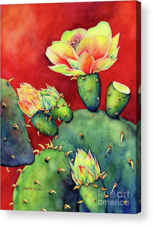 Cactus Acrylic Print featuring the painting Desert Bloom by Hailey E Herrera