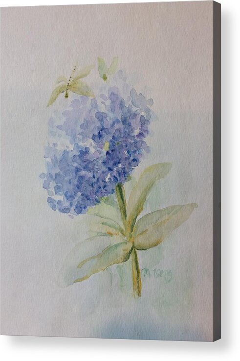 Hydrangea Acrylic Print featuring the painting Dragonfly on hydrangea by Milly Tseng