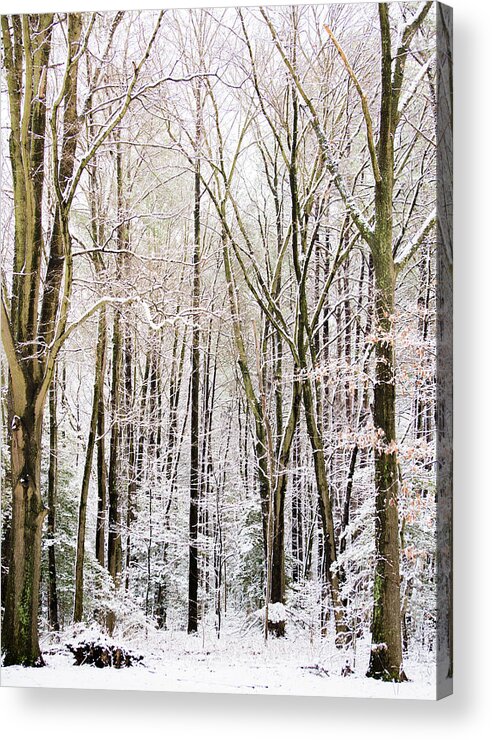 Winter Acrylic Print featuring the photograph First Snow by Stacy Abbott