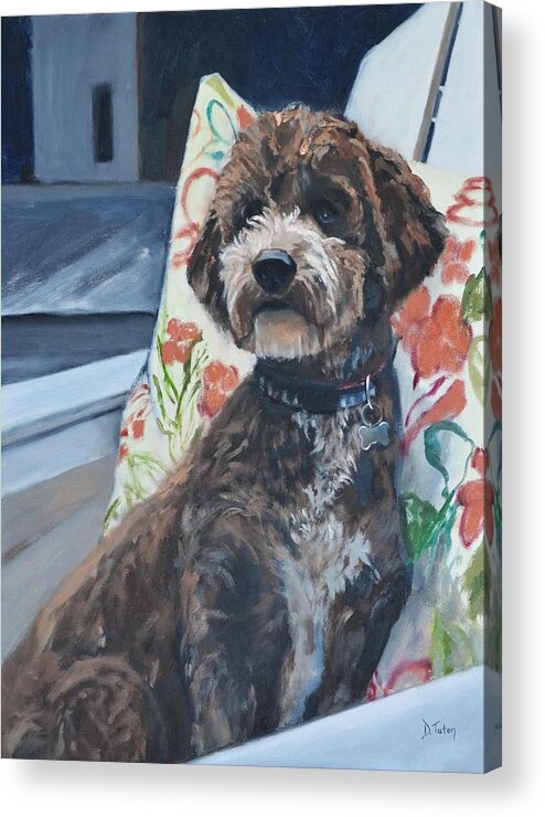 Paintings Acrylic Print featuring the painting Gio the Cockapoo Pet Portrait by Donna Tuten