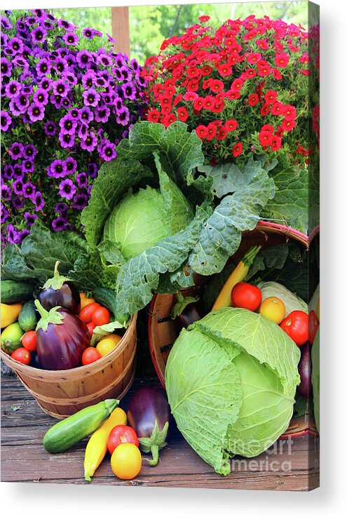 Harvest Acrylic Print featuring the photograph Harvest 3793 by Jack Schultz