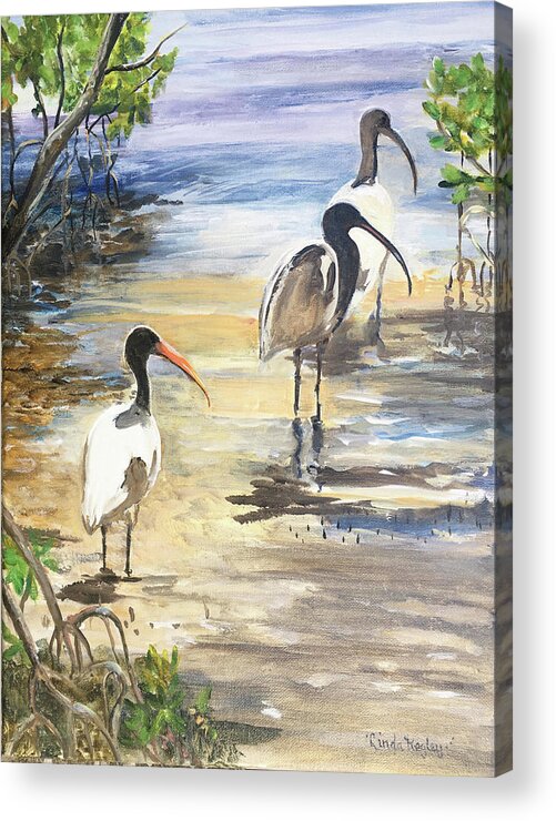 Ibis Painting Acrylic Print featuring the painting Ibises in the Mangroves by Linda Kegley