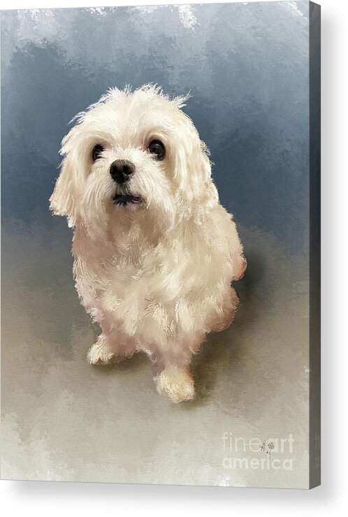 Animal Acrylic Print featuring the digital art Just Washed My Hair by Lois Bryan