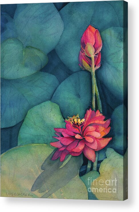 Water Lilies Acrylic Print featuring the painting Last Light Lilies by Lois Blasberg