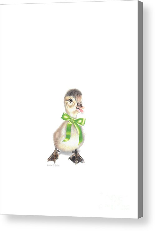 Duckling Acrylic Print featuring the drawing Lucky Ducky with Transparent Background by Karrie J Butler