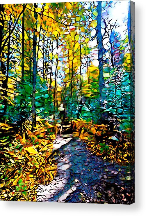 Woods Acrylic Print featuring the digital art Mosaic Landscape Forest Design 283 by Lucie Dumas