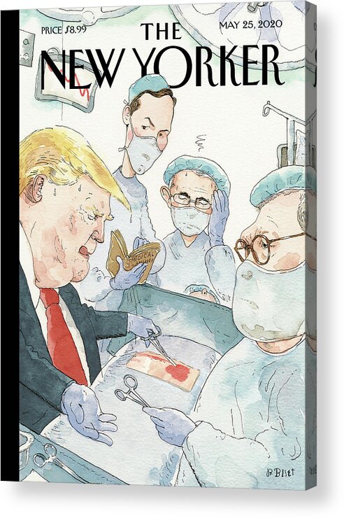 Trump Acrylic Print featuring the drawing Natural Ability by Barry Blitt