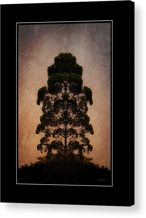 Nature Acrylic Print featuring the photograph Nature's Patterns - 13 by Will Wagner