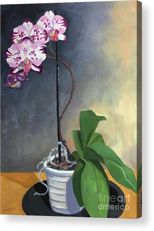 Orchid Acrylic Print featuring the painting Orchid Linda Boyd by Anne Marie Brown