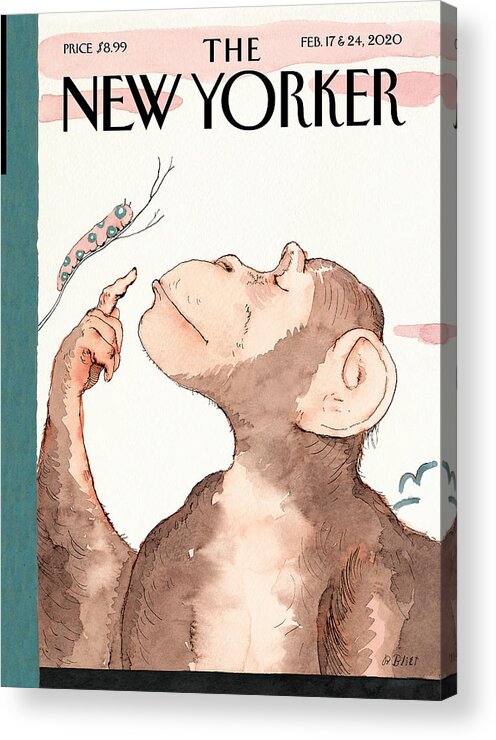 Origin Story Acrylic Print featuring the painting Origin Story by Barry Blitt
