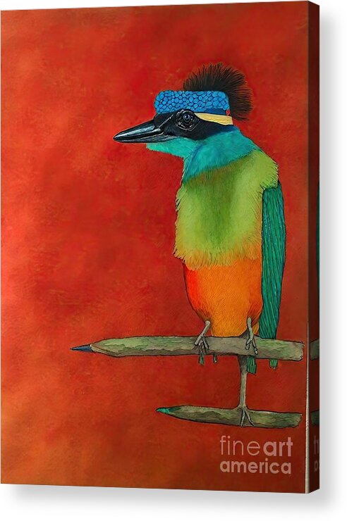 Bird Acrylic Print featuring the painting Painting Soledad bird colorful art wildlife anima by N Akkash