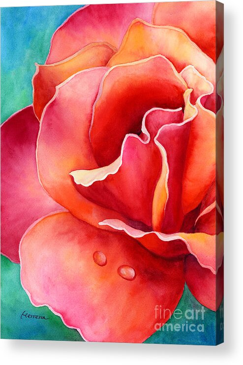 Rose Acrylic Print featuring the painting Peach Rose 2 by Hailey E Herrera