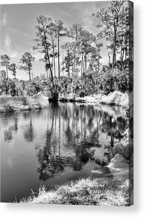 Princess Place Flagler County Florida Acrylic Print featuring the pyrography Princess Place 2 by John Anderson
