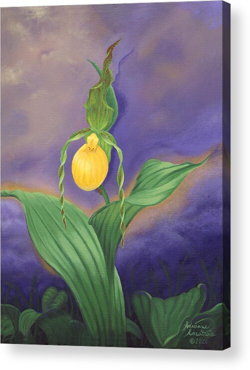 Flower Acrylic Print featuring the painting Rare Appalachian Beauty by Adrienne Dye