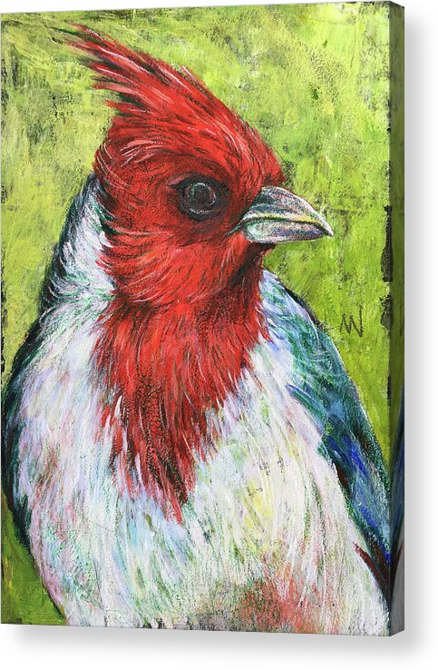 Cardinal Acrylic Print featuring the mixed media Red Head by AnneMarie Welsh
