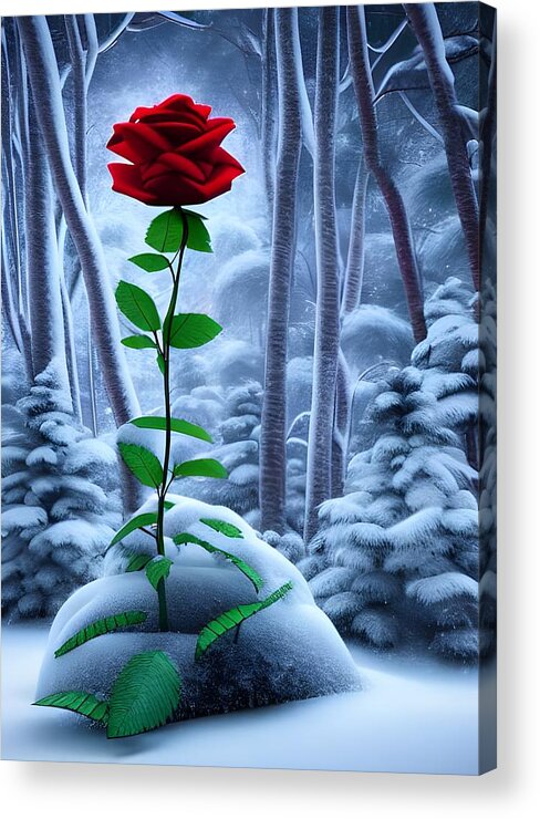 Digital Acrylic Print featuring the digital art Red Rose in the Snow by Beverly Read