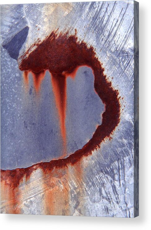 Photography Acrylic Print featuring the photograph Rust #1 by Stephanie Gambini