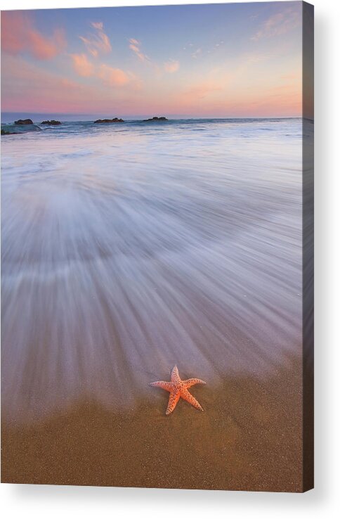 Ocean Acrylic Print featuring the photograph Seastar Sunrise by Darren White