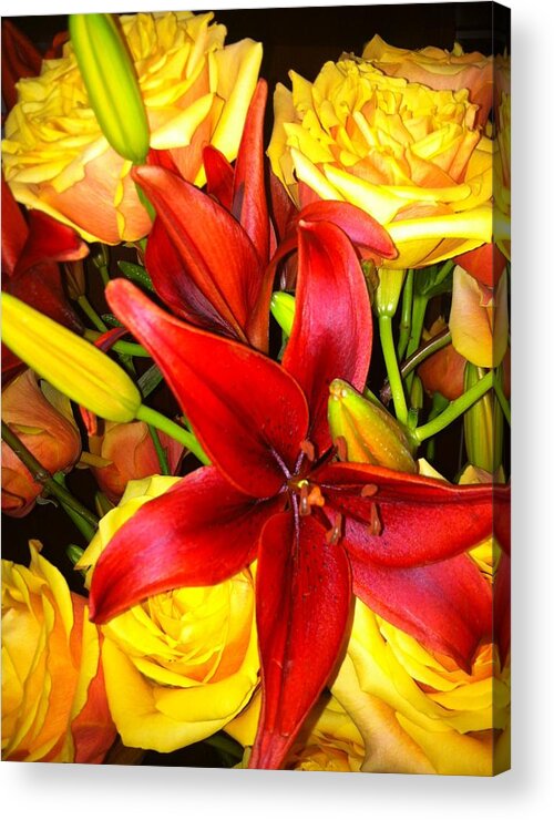 Rose Acrylic Print featuring the photograph Serendipity by Juliette Becker