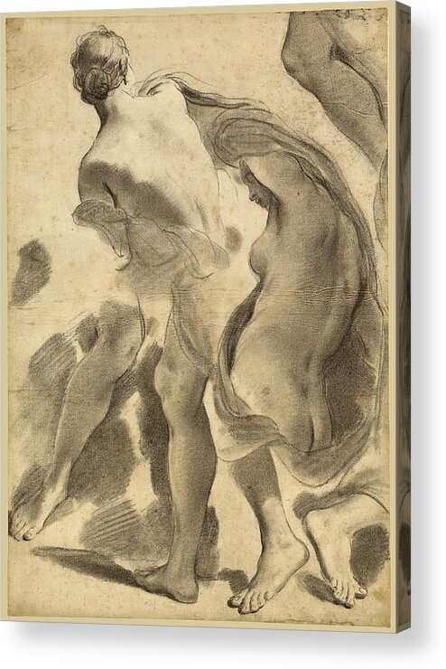 Gaetano Gandolfi Acrylic Print featuring the drawing Studies of Female Nudes by Gaetano Gandolfi
