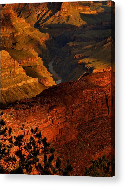Grand Canyon Acrylic Print featuring the photograph Hopi Point Sunrise by Stephen Vecchiotti