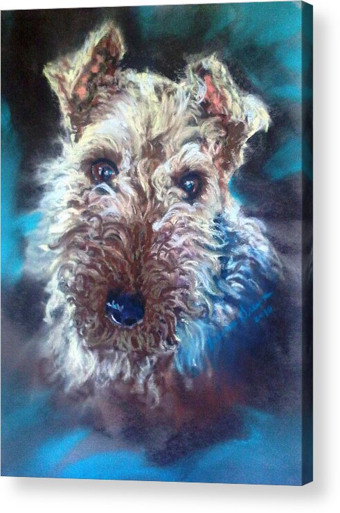 Dog Art Acrylic Print featuring the painting Terrier by Valerie Greene