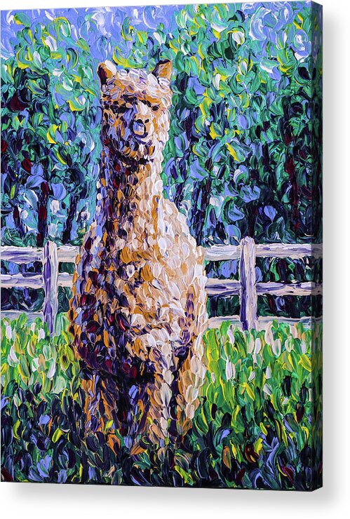 Alpaca Acrylic Print featuring the painting Valiant by Bari Rhys