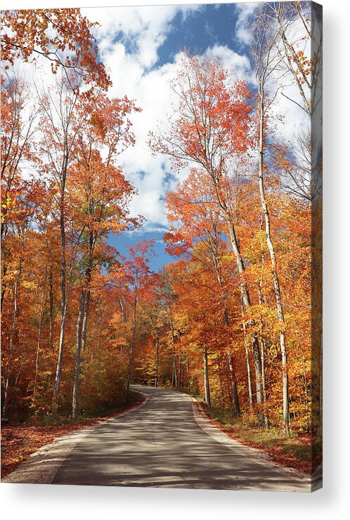 Fall Acrylic Print featuring the photograph Winding Through the Fall Colors by David T Wilkinson