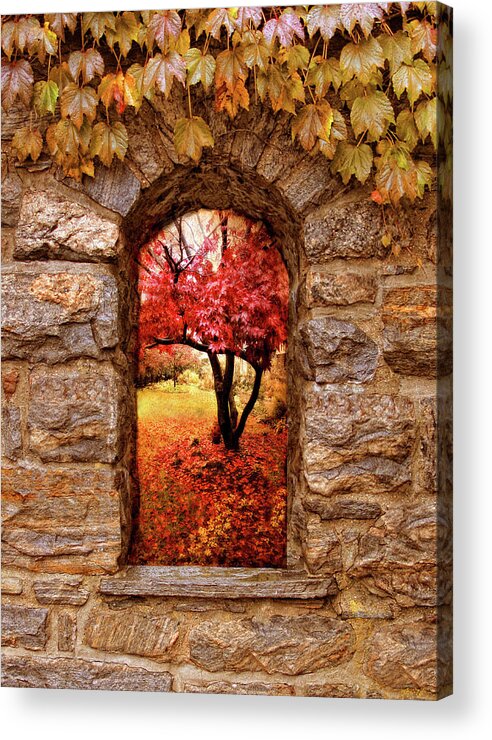Nature Acrylic Print featuring the photograph Window to Autumn by Jessica Jenney