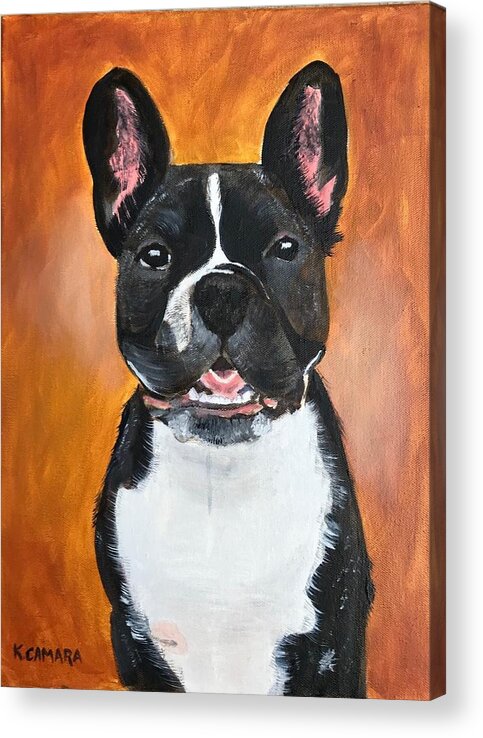 Pets Acrylic Print featuring the painting Winston by Kathie Camara