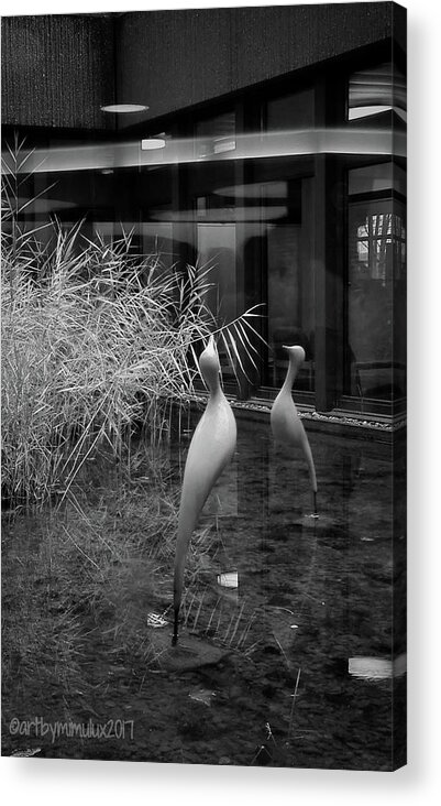 Shadow Acrylic Print featuring the photograph Shadow and Light 13 - Reflections - a by Mimulux Patricia No