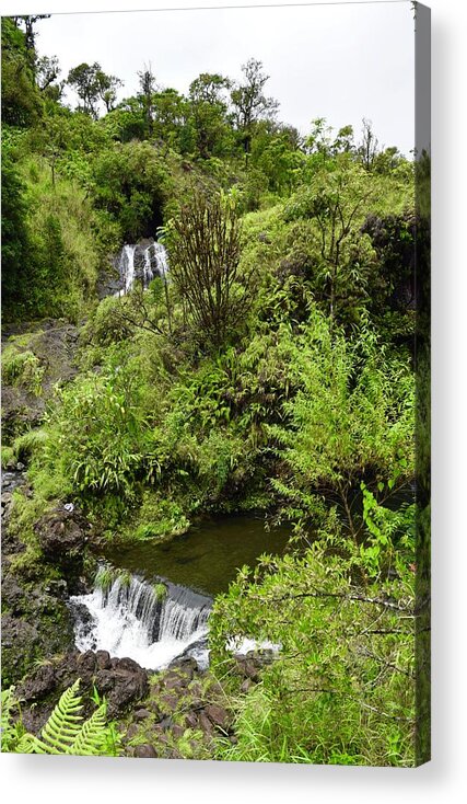 Aloha Acrylic Print featuring the photograph Hanawi Upper-Lower Falls, Hana,Maui by Bnte Creations