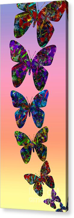 Butterfly Collage Acrylic Print featuring the photograph Butterfly collage IIII by Robert Meanor