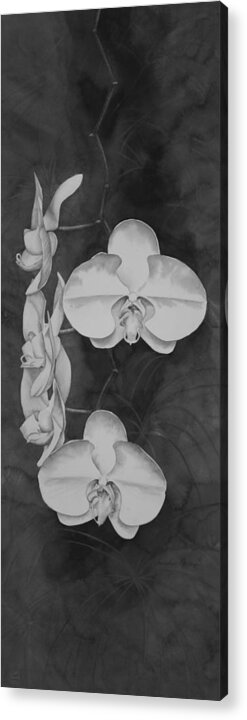 Black And White Acrylic Print featuring the painting Phalaenopsis Beauty in Contrast by Heather Gallup