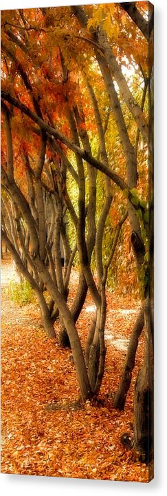 Tree Lined Path Acrylic Print featuring the painting Walk with me by Susan Fisher
