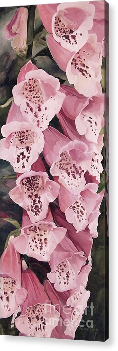 Garden Flower Acrylic Print featuring the painting Pink Foxglove by Laurie Rohner