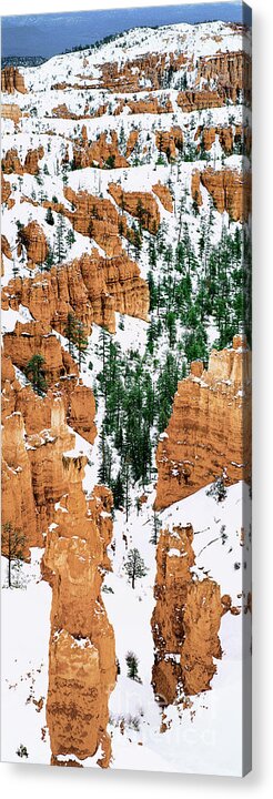 Dave Welling Acrylic Print featuring the photograph Panoramic Winter Hoodoos Bryce Canyon National Park #2 by Dave Welling