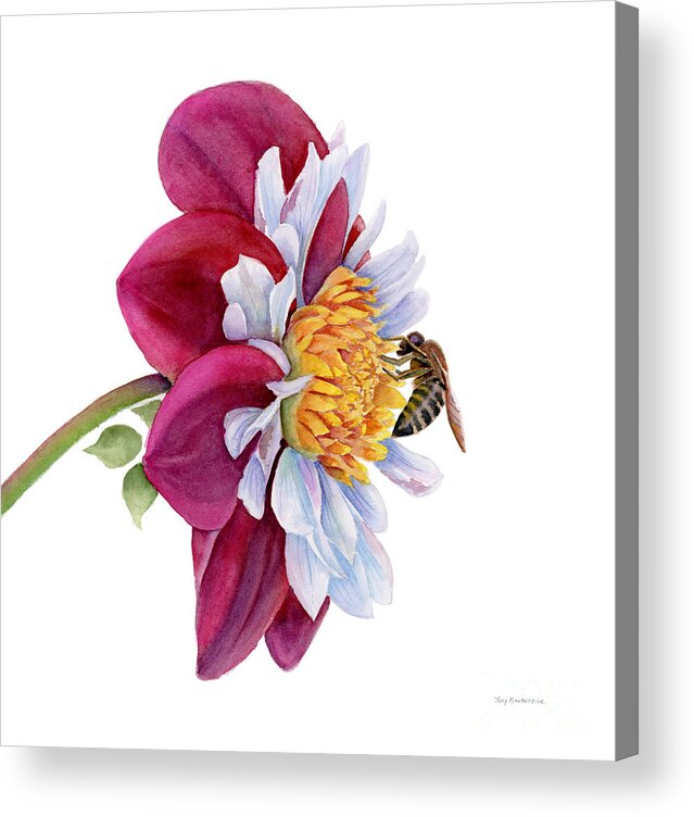 Pink Dahlia Acrylic Print featuring the painting Hello My Flower #1 by Amy Kirkpatrick