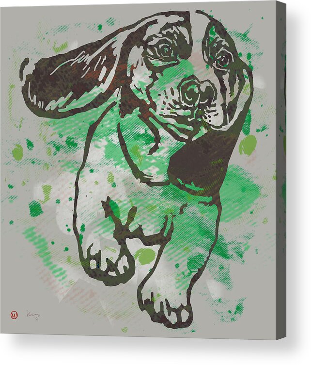 Dog Stylised Pop Morden Art Drawing Sketch Portrait. Pet Acrylic Print featuring the drawing Dog stylised pop modern etching art portrait #3 by Kim Wang