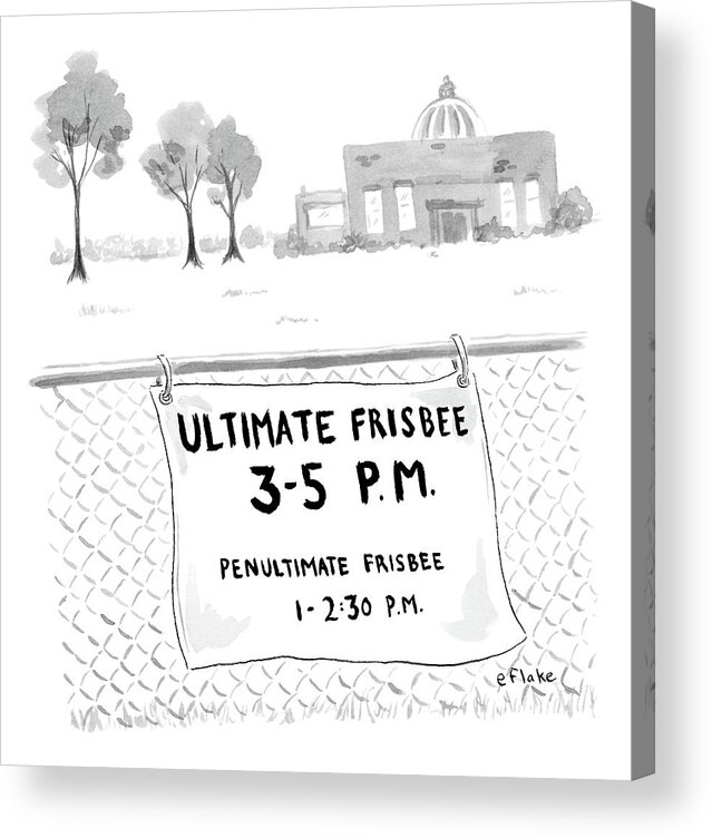 Ultimate Frisbee Acrylic Print featuring the drawing A Sign On A Fence Reads: Ultimate Frisbee 3-5 Pm by Emily Flake