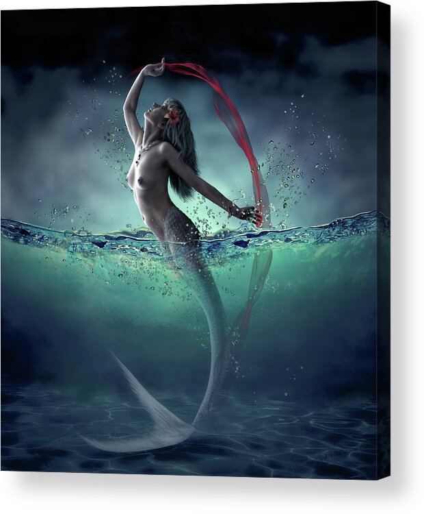 Water Acrylic Print featuring the photograph Ariel by Dmitry Laudin
