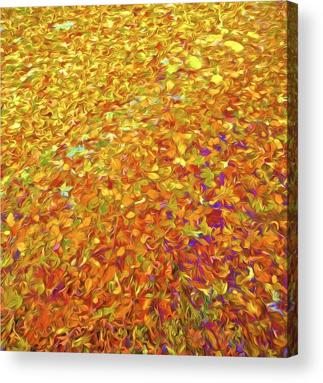 Abstract Acrylic Print featuring the photograph Autumn Leaves by David Letts